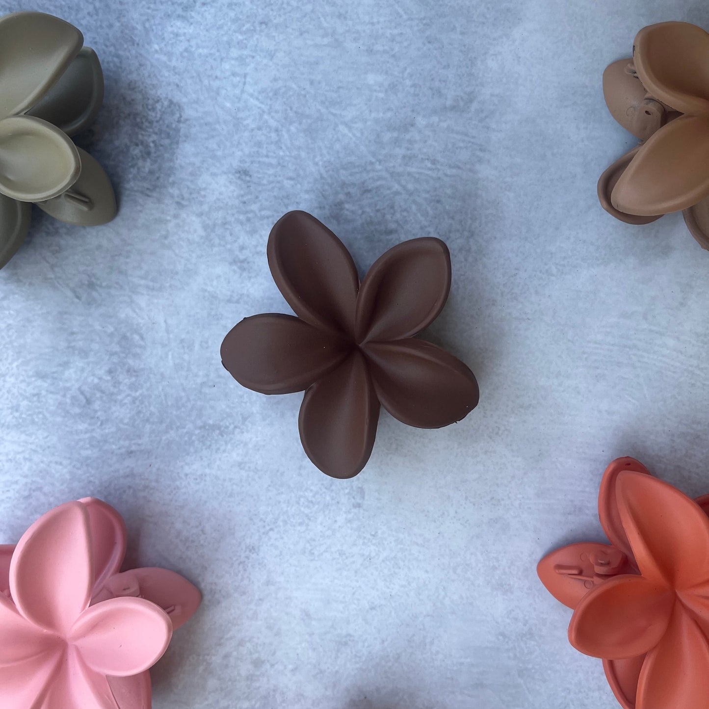 Hibiscus Claw Clip ๐บ