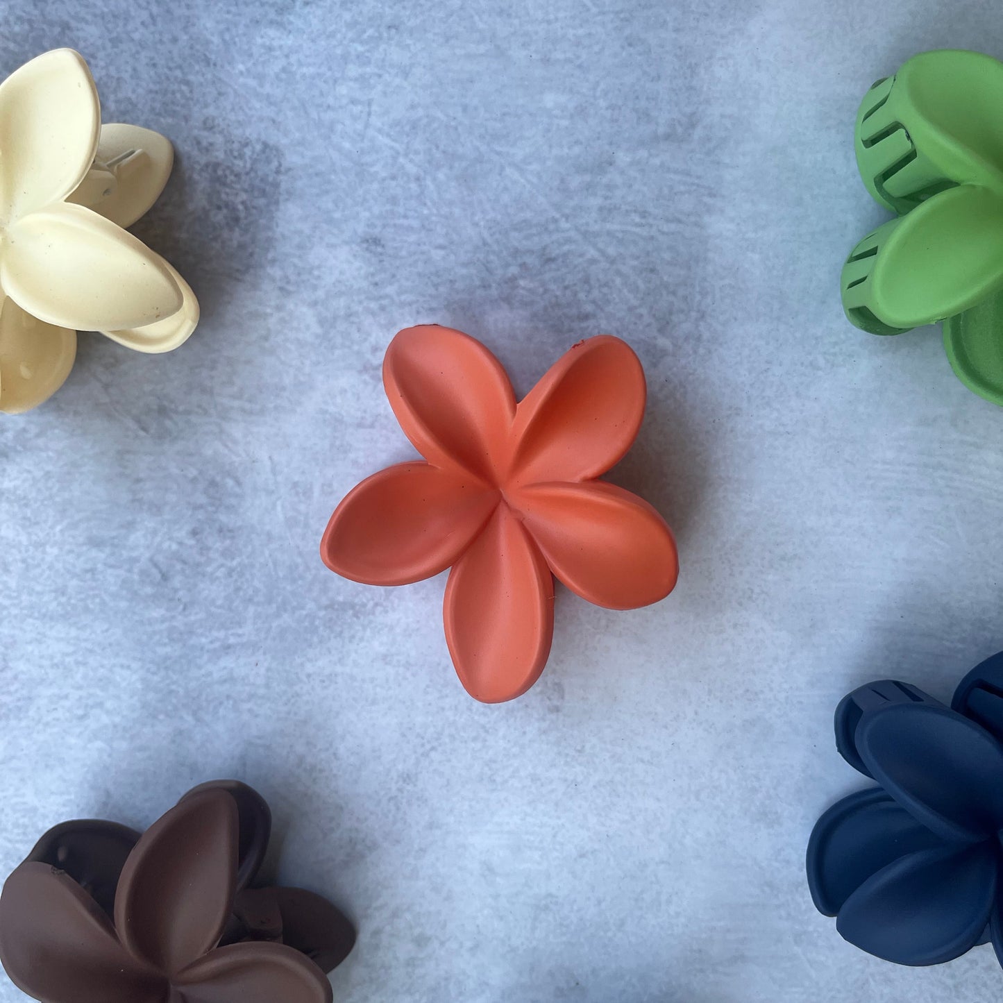 Hibiscus Claw Clip ๐บ