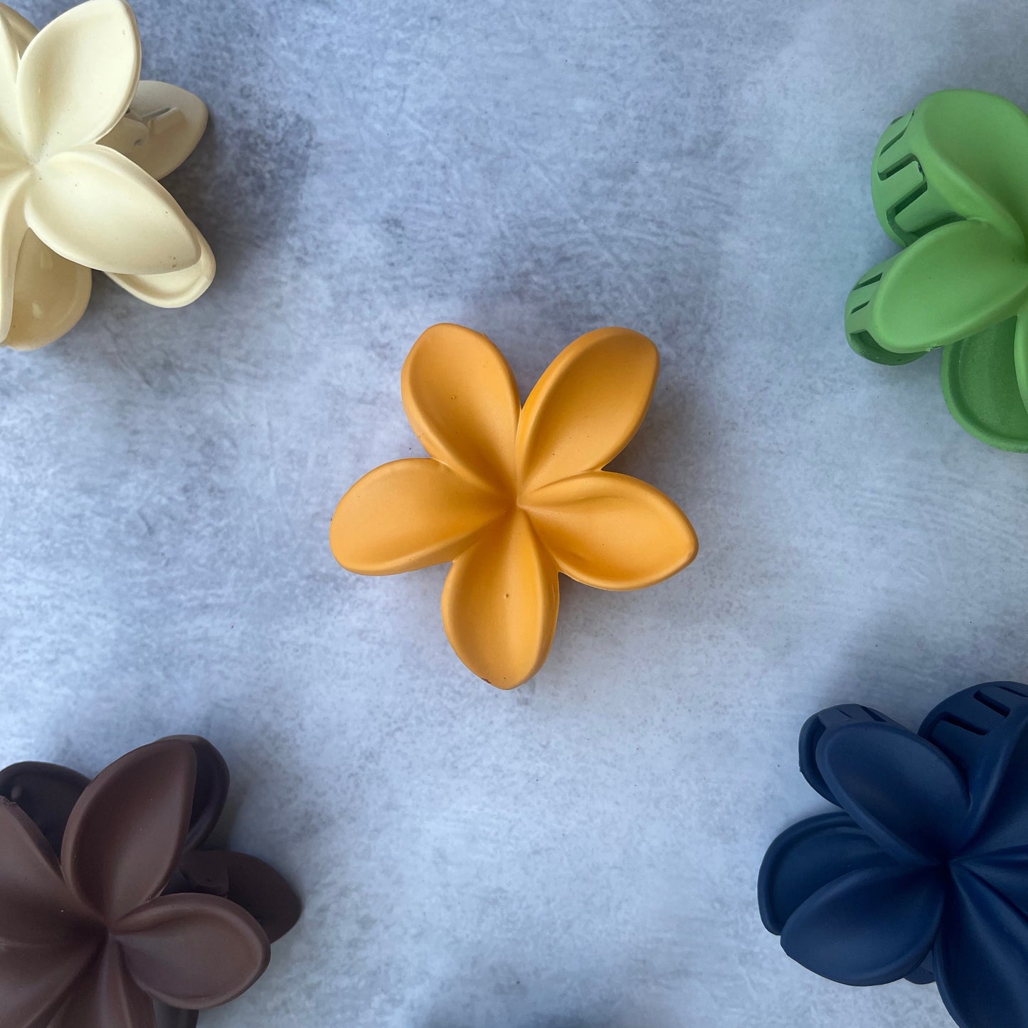 Hibiscus Claw Clip ๐บ