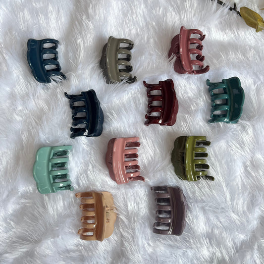 Glossy Hair Claw