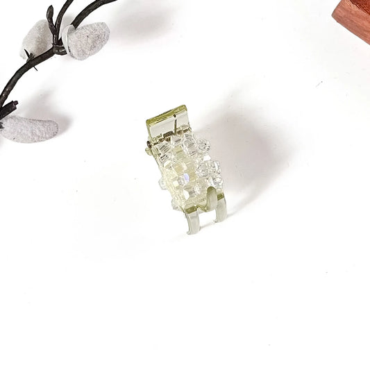 A small clear resin small mini catch clip with a pale green translucent accent, photographed on a white background with decorative dried flowers in the corner.